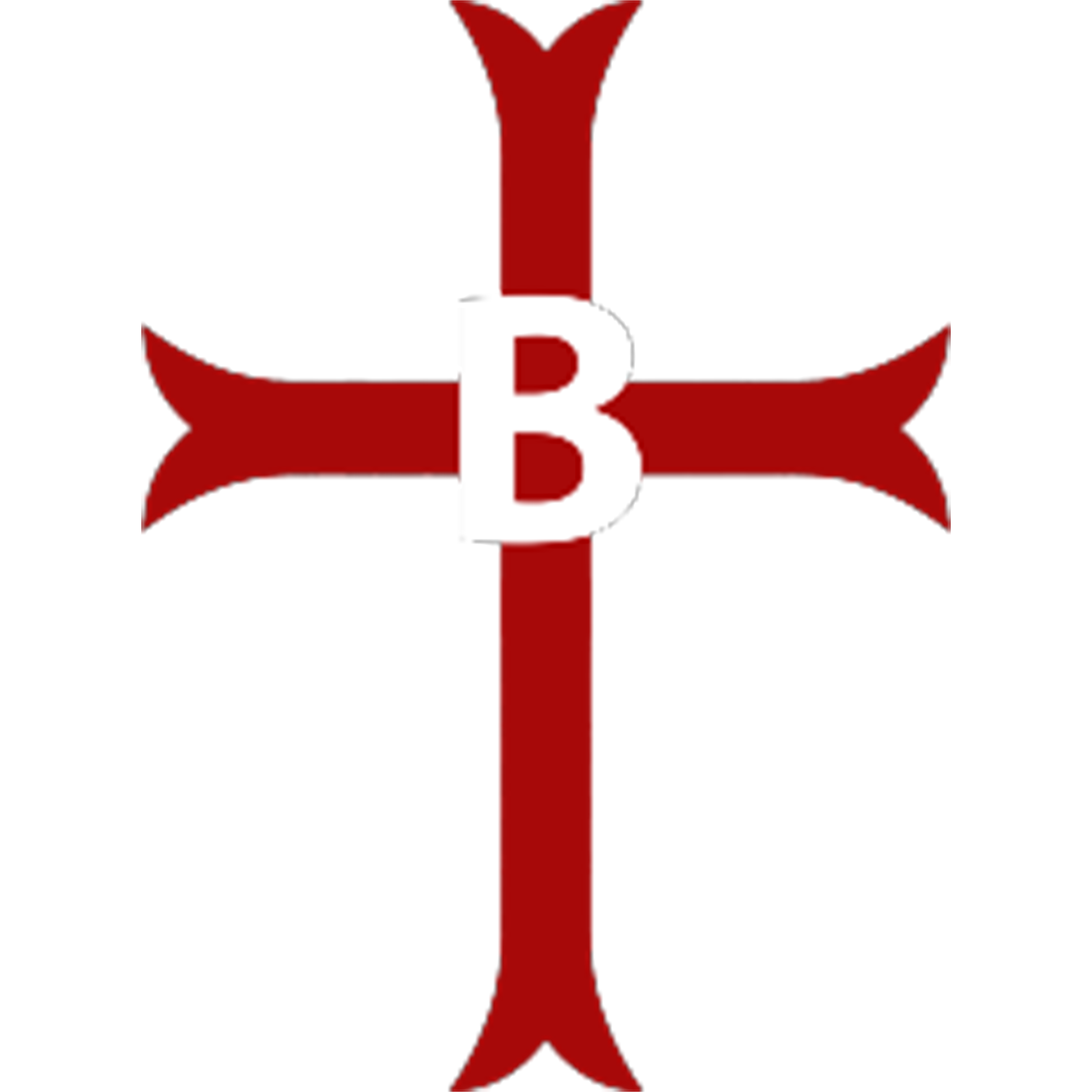 B Squadron logo